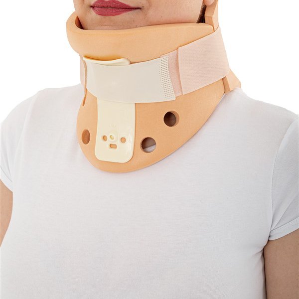 Philedelpia Boyunluk (3 Size)